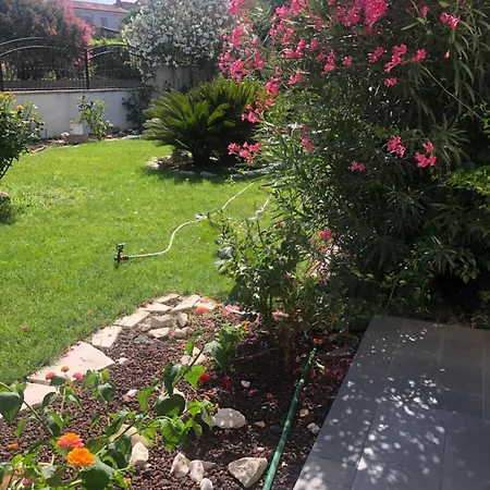 Bed & Breakfast Les Lauriers, D'hotes
