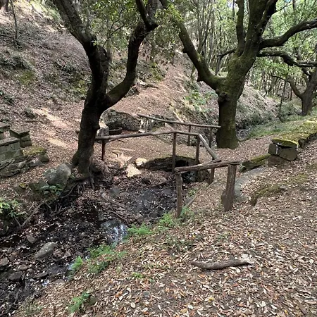 Panzió Les Lauriers, D'hotes