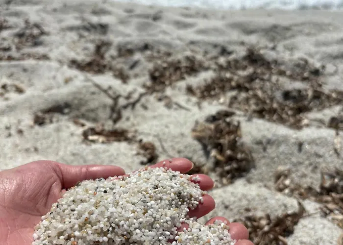 Les Lauriers, D'hotes 3*